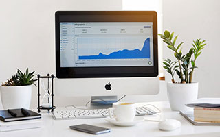 风车动漫两种读法对照：围绕术语多不等于更专业做把事实句挑出来