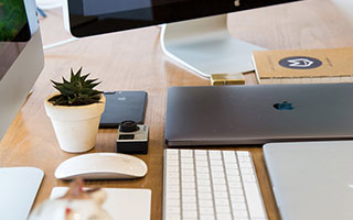 风车动漫两种读法对照：围绕术语多不等于更专业做把事实句挑出来